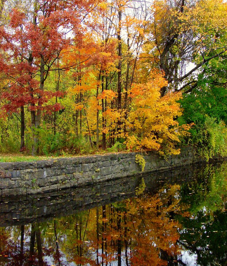 Autumn On Feeder Canal Photograph by Rodney Lee Williams