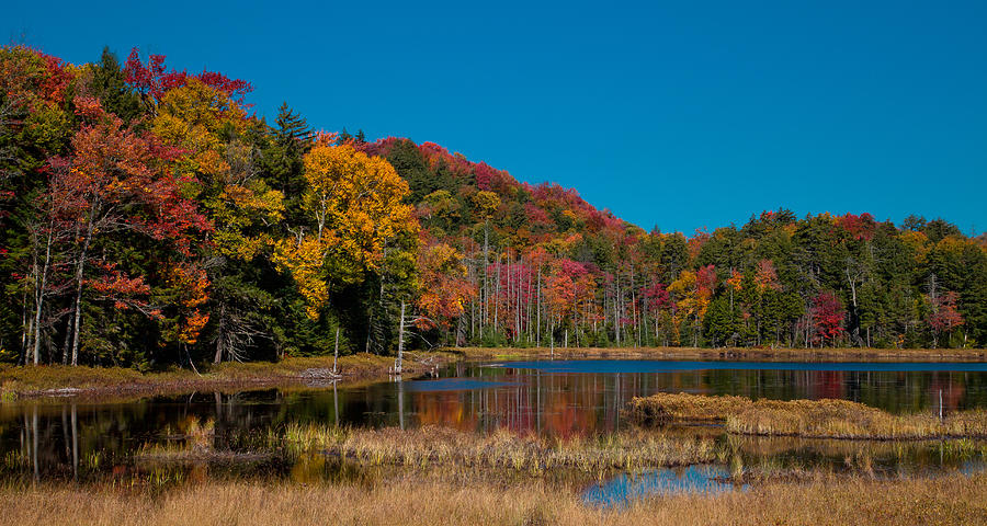 Autumn on Fly Pond Photograph by David Patterson