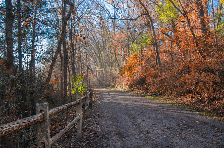 Philadelphia Photograph - Autumn on Forbidden Drive - Philadelphia Pa by Bill Cannon