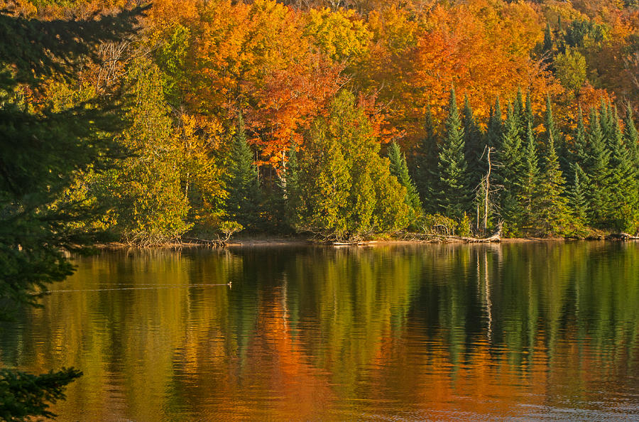 Autumn on Grand Sable Lake Photograph by Gary McCormick
