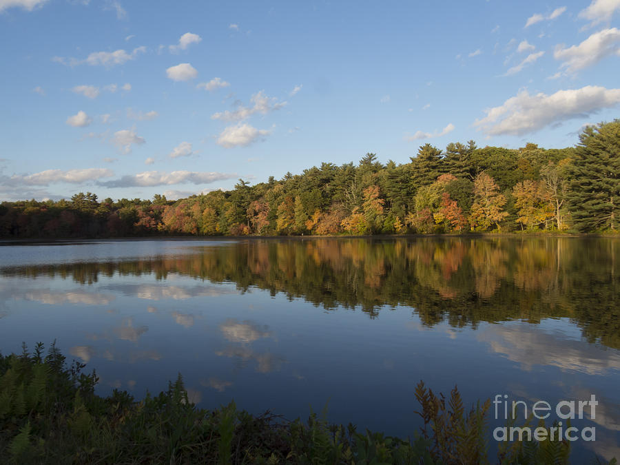 Autumn on Hawkins Pond II Photograph by Lili Feinstein