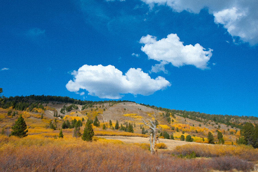 Autumn On Highway 431 Nv 1 Photograph by Catherine Lau