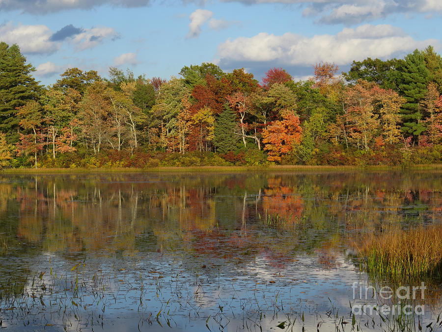 Autumn on Middle Reservoir VI Photograph by Lili Feinstein