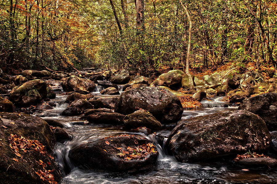 Autumn on Middle Saluda Photograph by Kevin Senter