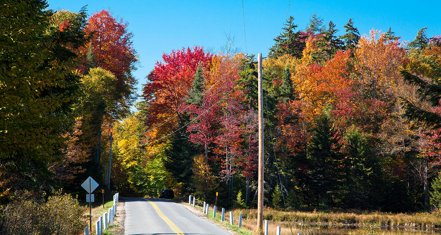Fall Photograph - Autumn on Rondaxe Road by David Patterson
