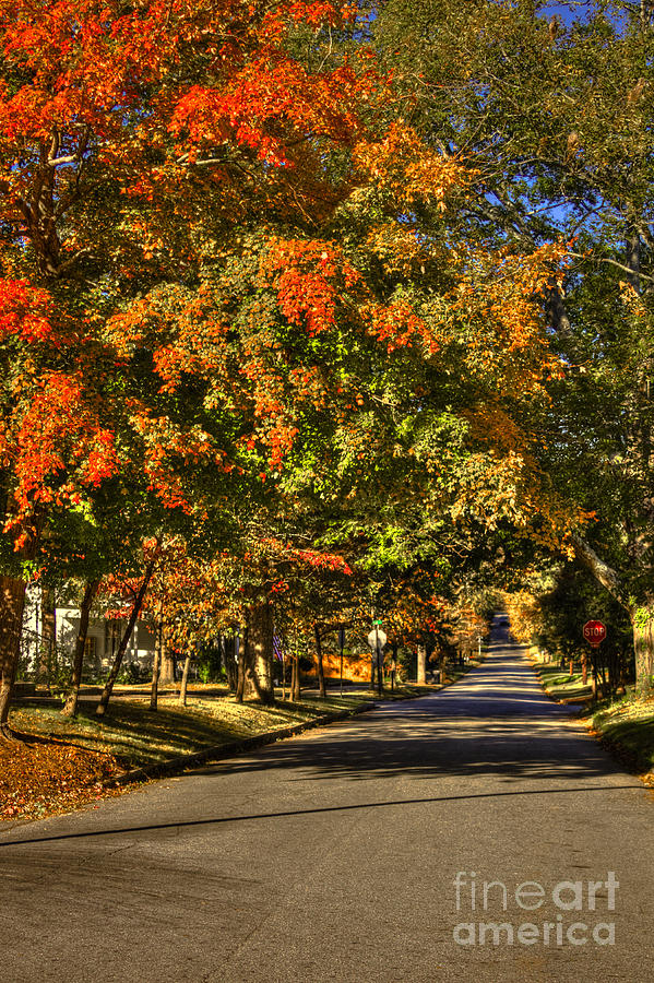 Autumn On South Street Greensboro GA Photograph by Reid Callaway