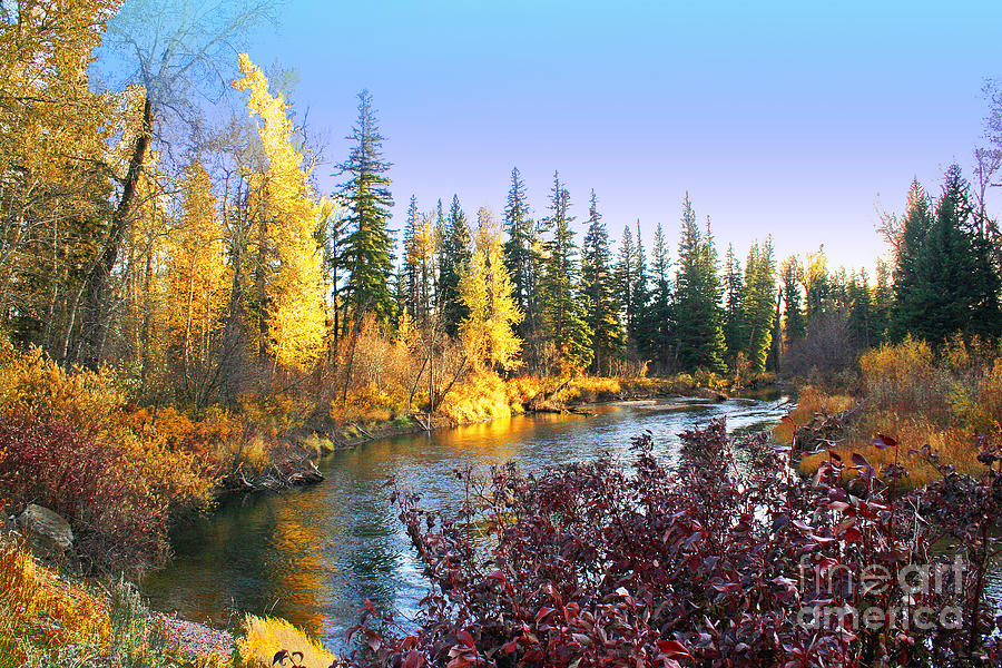 Autumn on the Blackfoot River Photograph by H J Levy - Fine Art America