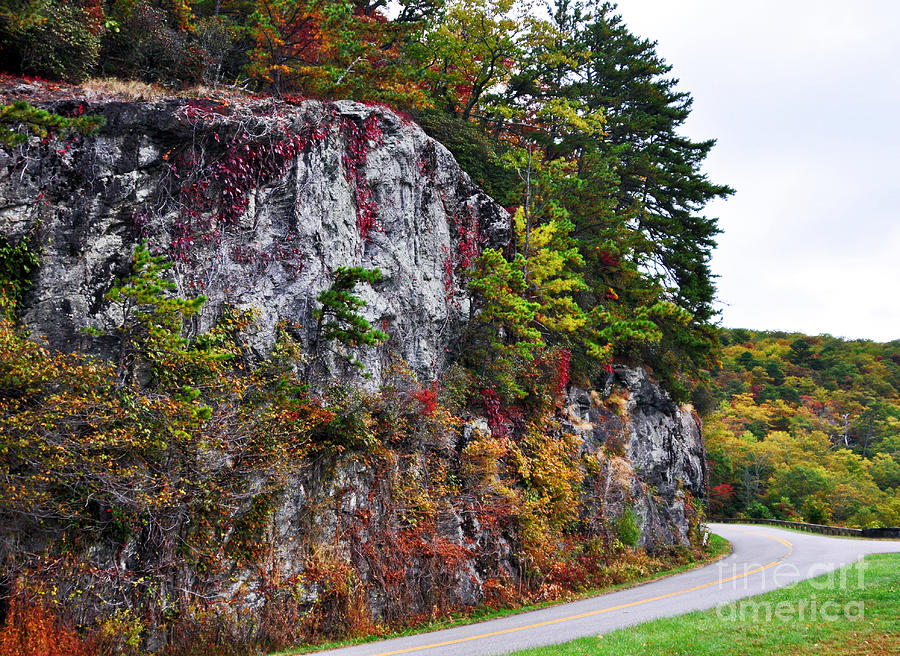 Autumn on The Blue Ridge Parkway Photograph by Lydia Holly