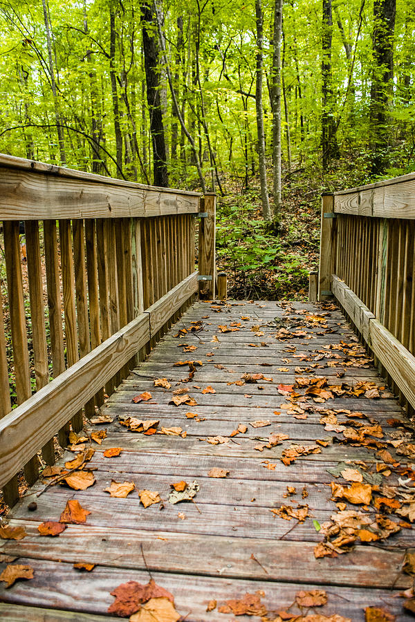 Fall Photograph - Autumn on the Bridge by Parker Cunningham
