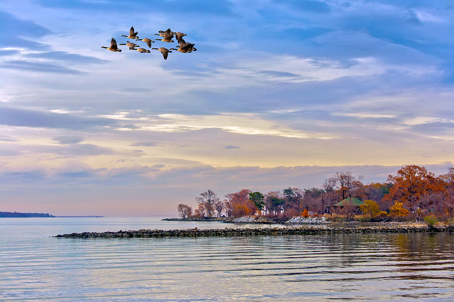 Autumn on the Chesapeake Bay Photograph by Patrick Wolf