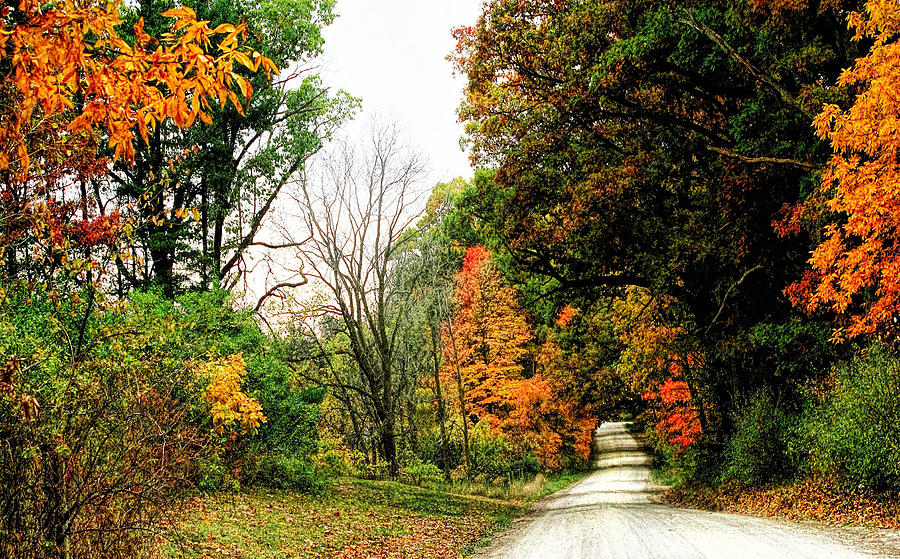 Autumn on the Dirt Roads Photograph by Pat Cook