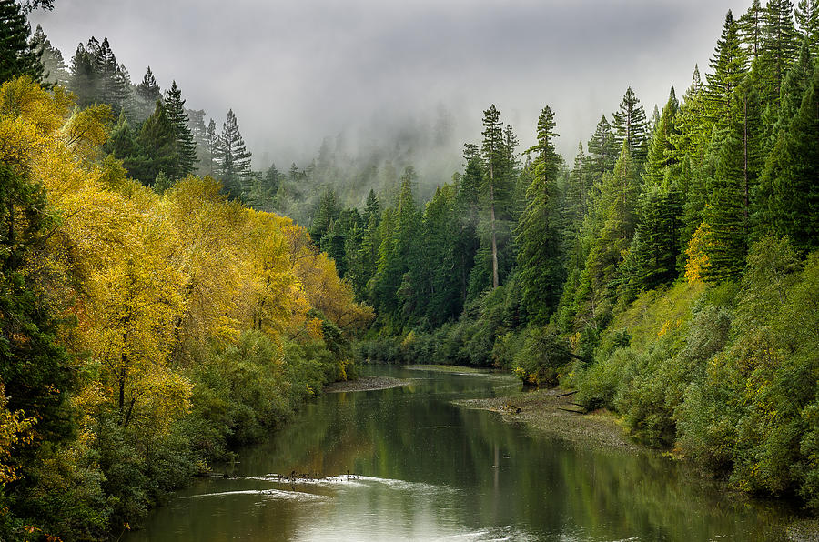 Eel River Photograph - Autumn on the Eel by Greg Nyquist