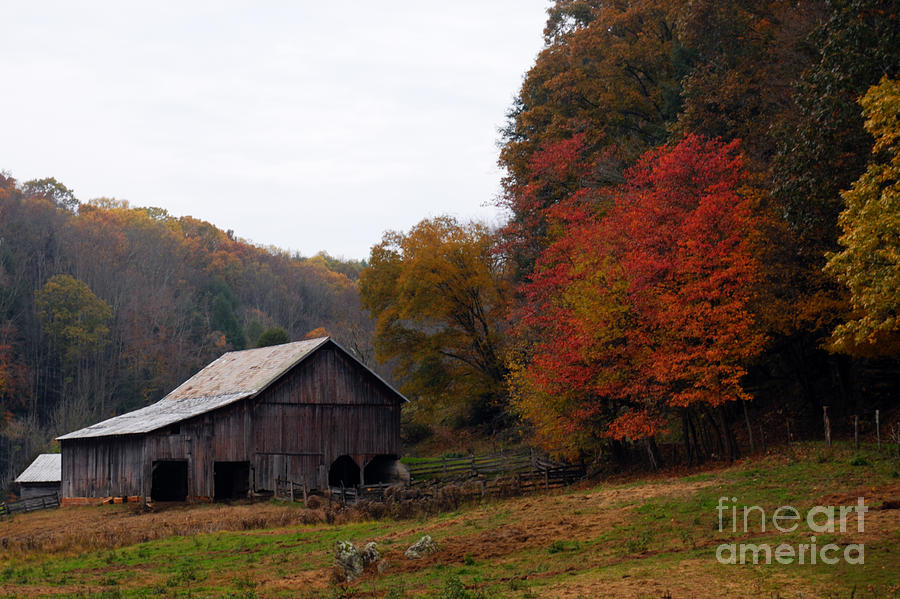 Nature Photograph - Autumn on the Farm by Larry Ricker