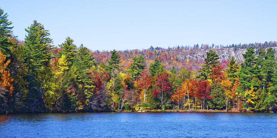 Fall Photograph - Autumn on the Fulton Chain of Lakes in the Adirondacks IV by David Patterson