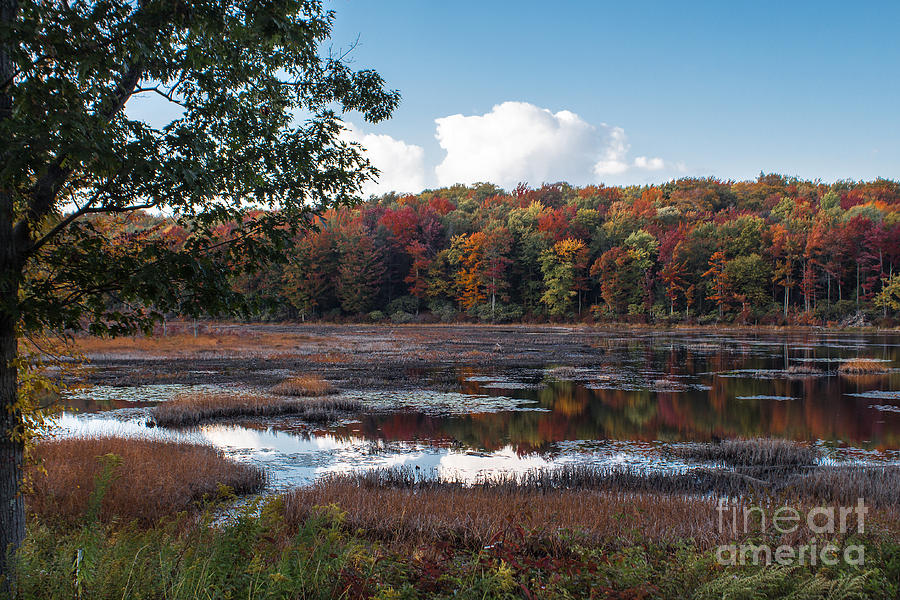 Autumn On The Lake Photograph by Arlene Carmel