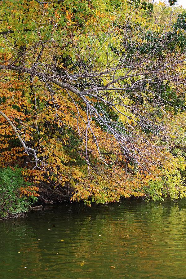 Fall Photograph - Autumn on the Lake by Bruce Bley