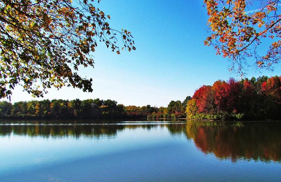 Autumn On Homer Lake Photograph
