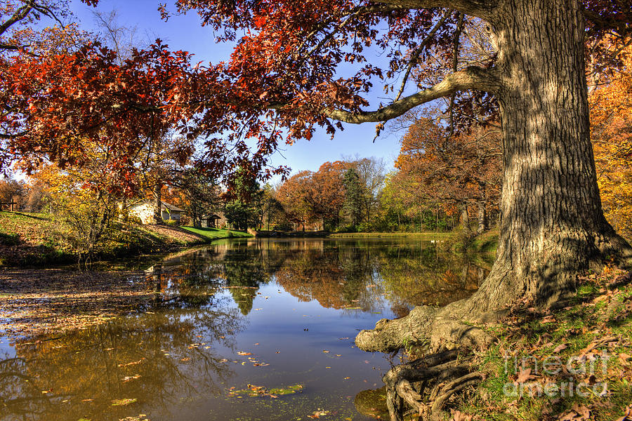 Autumn on the Pond Photograph by Scott Wood