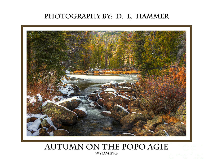 Autumn on the Popo Agie Photograph by Dennis Hammer