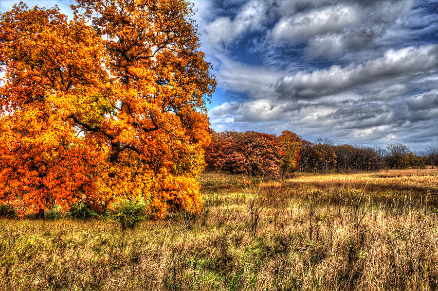 Autumn on the Prairie Photograph by Roger Passman