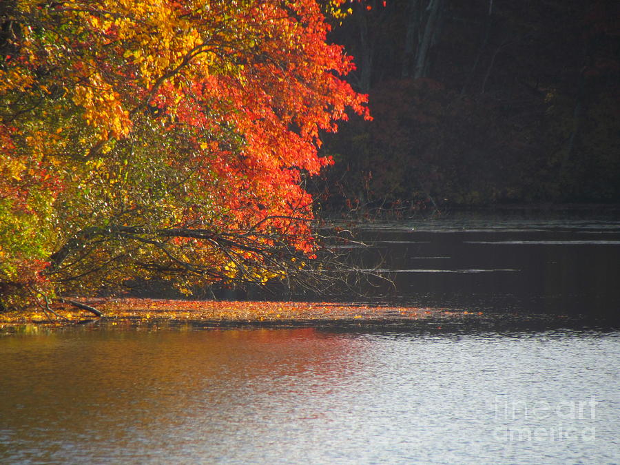 Autumn on the Scituate VI Photograph by Lili Feinstein