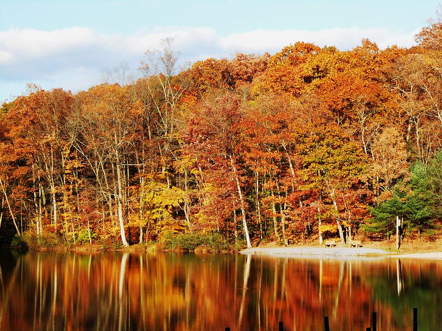 Autumn on the water Photograph by Christine Musser