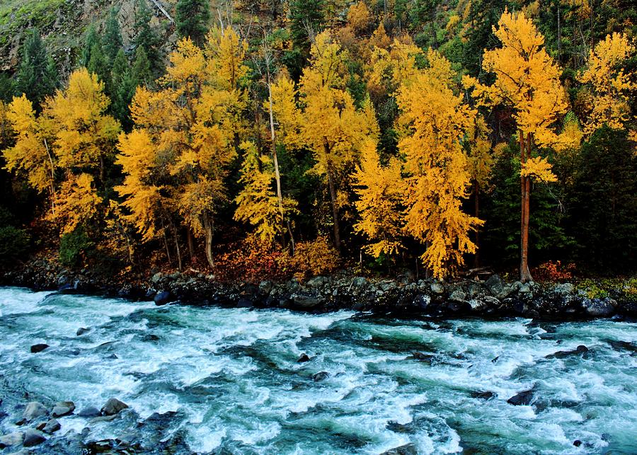 Autumn on the Wenatchee Photograph by Benjamin Yeager