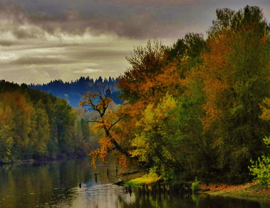 Autumn on the Willamette  Photograph by Charles Lucas