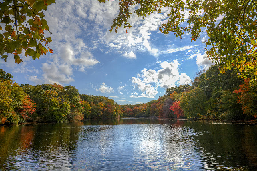 Autumn On Trout Pond Photograph by Steve Gravano