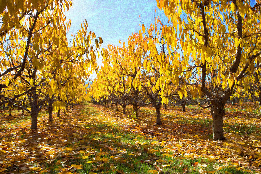 Autumn Orchard Painted Photograph by Allan Van Gasbeck