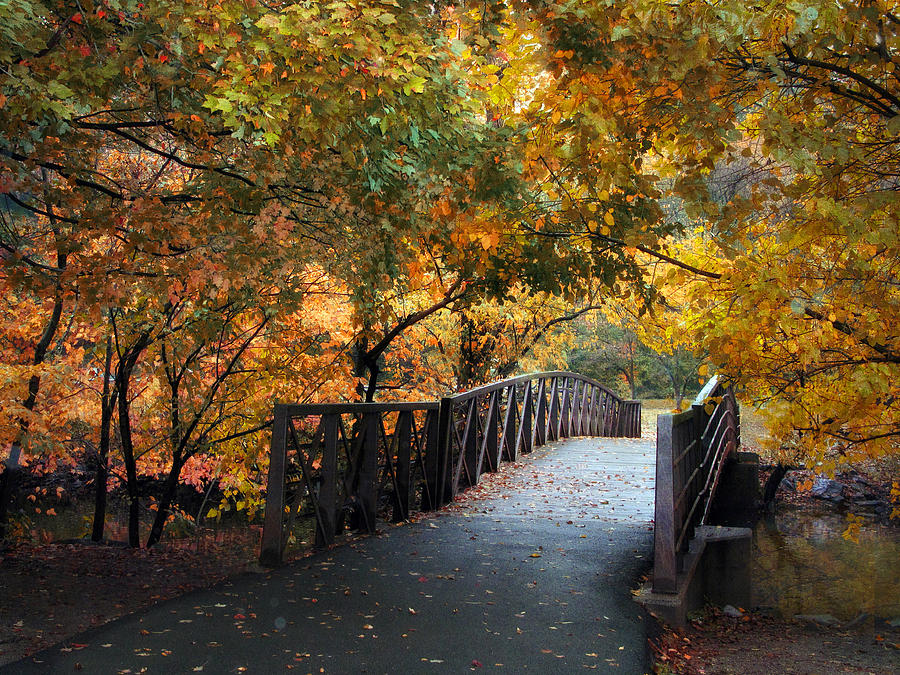 Autumn Overpass Photograph by Jessica Jenney