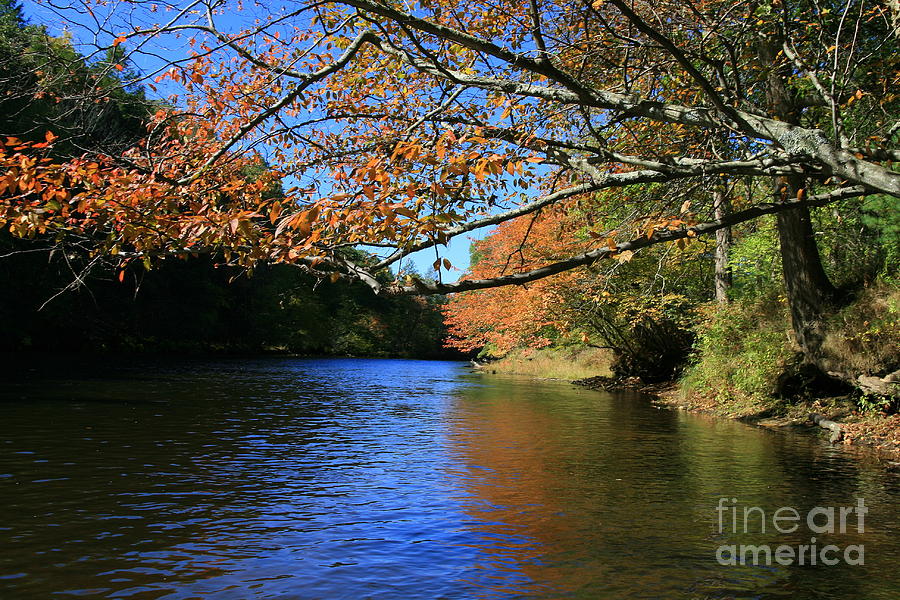 Autumn Paddle on the Quinnebaug  Photograph by Neal Eslinger