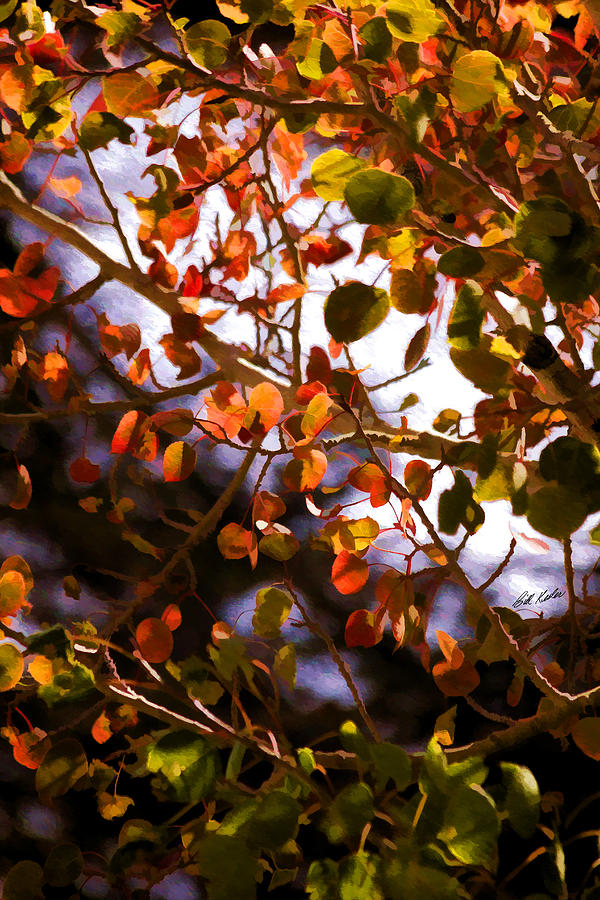 Autumn Palette Photograph by Bill Kesler