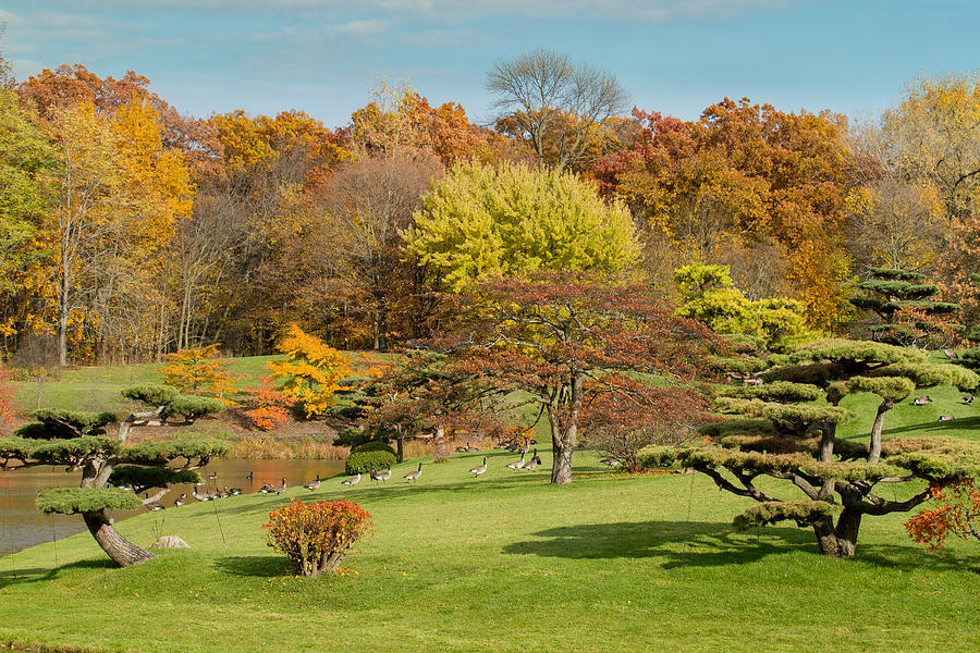 Autumn Palette Photograph by Leo Thomas Garcia - Fine Art America