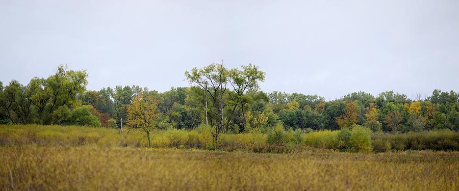 Autumn Panorama Photograph by Bonfire Photography