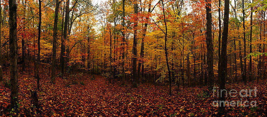 Autumn Panorama Photograph by Larry Ricker