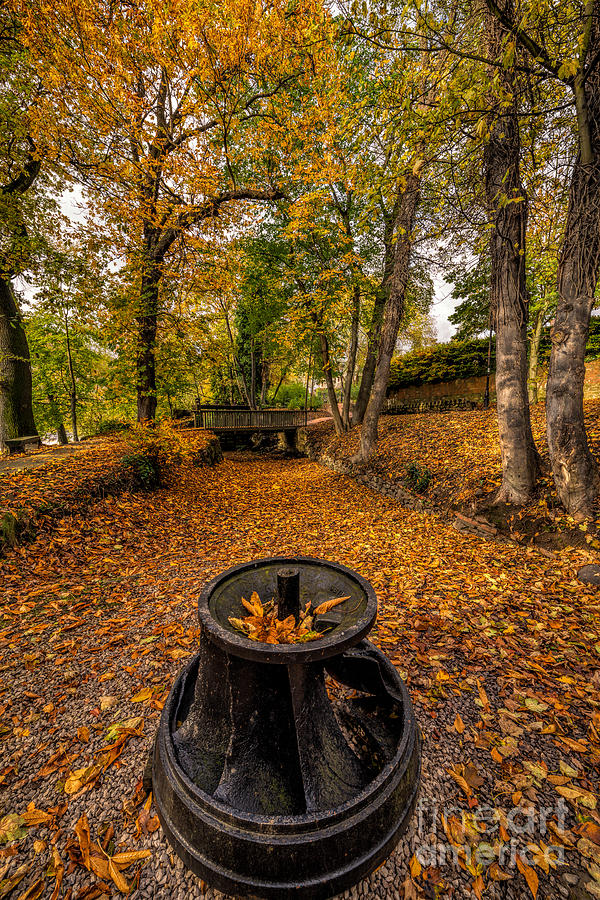 Autumn Park Photograph by Adrian Evans
