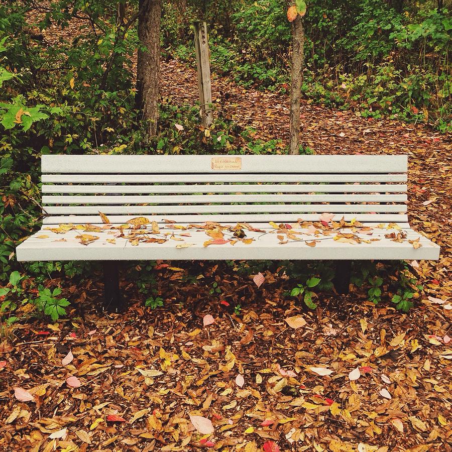 Fall Photograph - Autumn Park Bench by Nikki Watson    McInnes