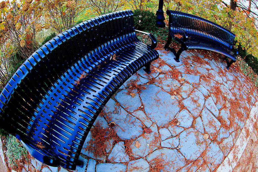 Autumn Park Benches Photograph by Ben Graham