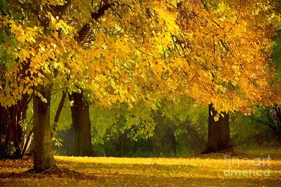 Autumn Park graphical Photograph by Lutz Baar