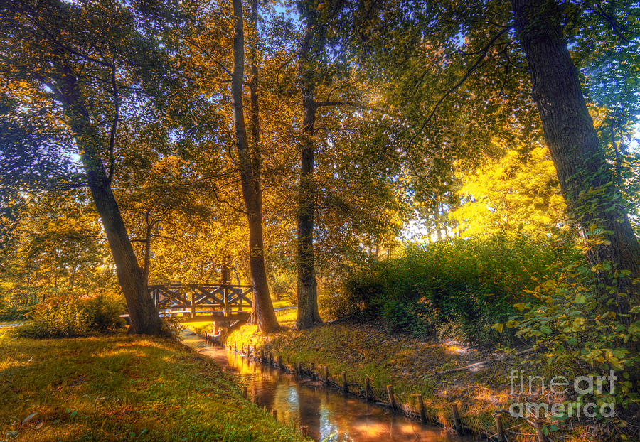 Autumn park Photograph by Michal Bednarek - Fine Art America