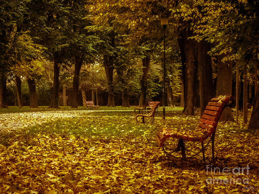 Autumn Park Photograph by Prints of Italy