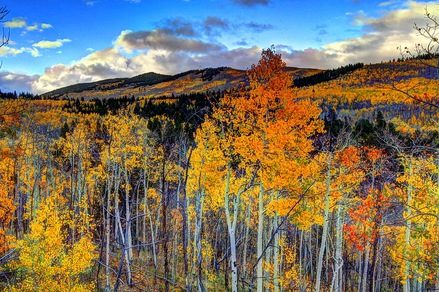Autumn Pass Photograph by Scott Mahon