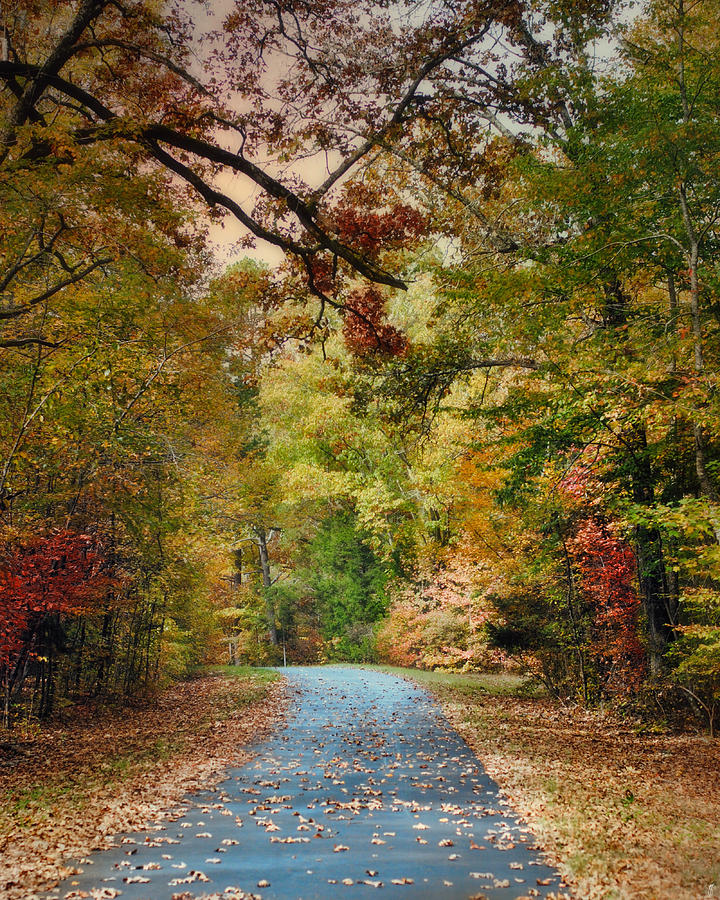 Autumn Passage 3 - Fall Landscape Scene Photograph by Jai Johnson