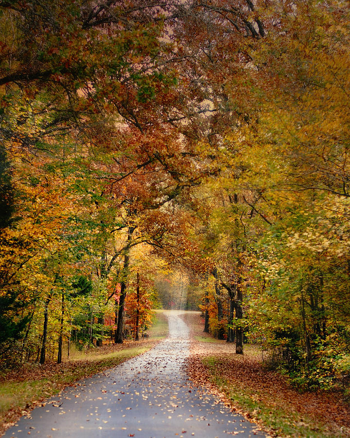 Autumn Passage 4 - Fall Landscape Scene Photograph by Jai Johnson