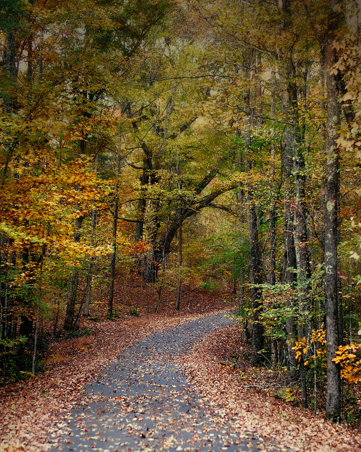 Autumn Passage 5 - Fall Landscape Scene Photograph by Jai Johnson