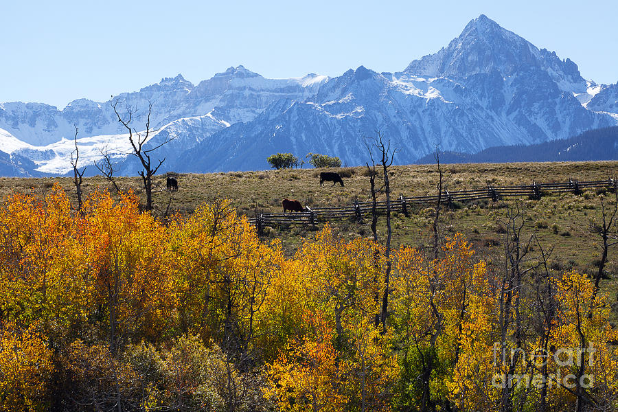 Autumn Pasture Photograph by Jim Garrison