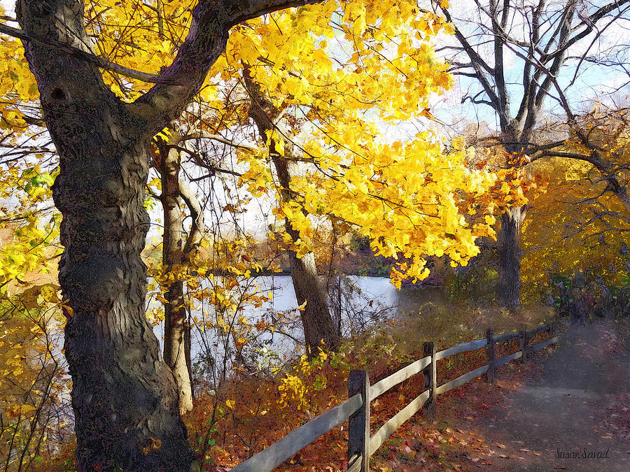 Fall Photograph - Autumn Path in the Park by Susan Savad