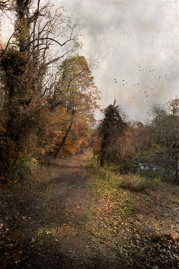 Autumn Path Photograph by John Rivera