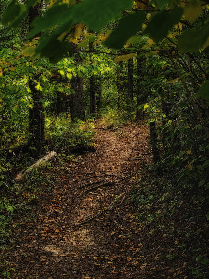 Autumn path by Stan Wojtaszek Autumn path by Stan Wojtaszek